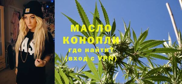 ECSTASY Богданович