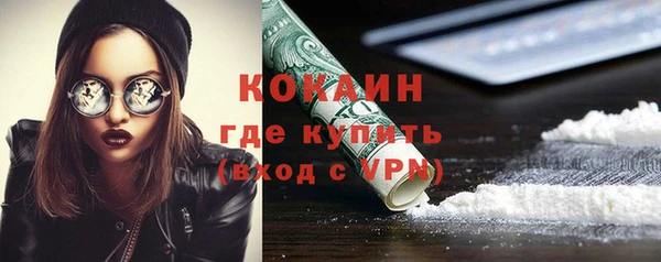мет Бородино